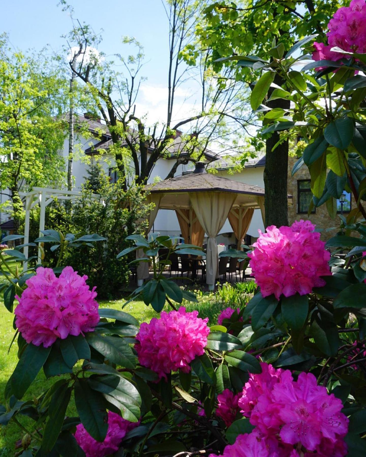 Hotel Victoria 올쿠시 외부 사진